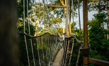 Canopy Walkway at Kakum National Park