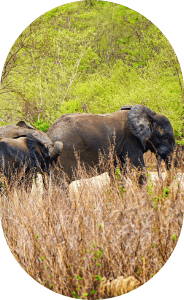 about_14_1 184x300 min