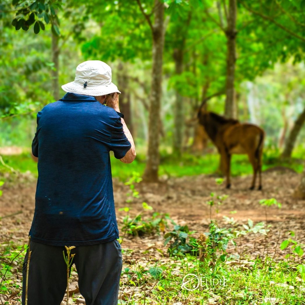 DAN03202 e1762179024658