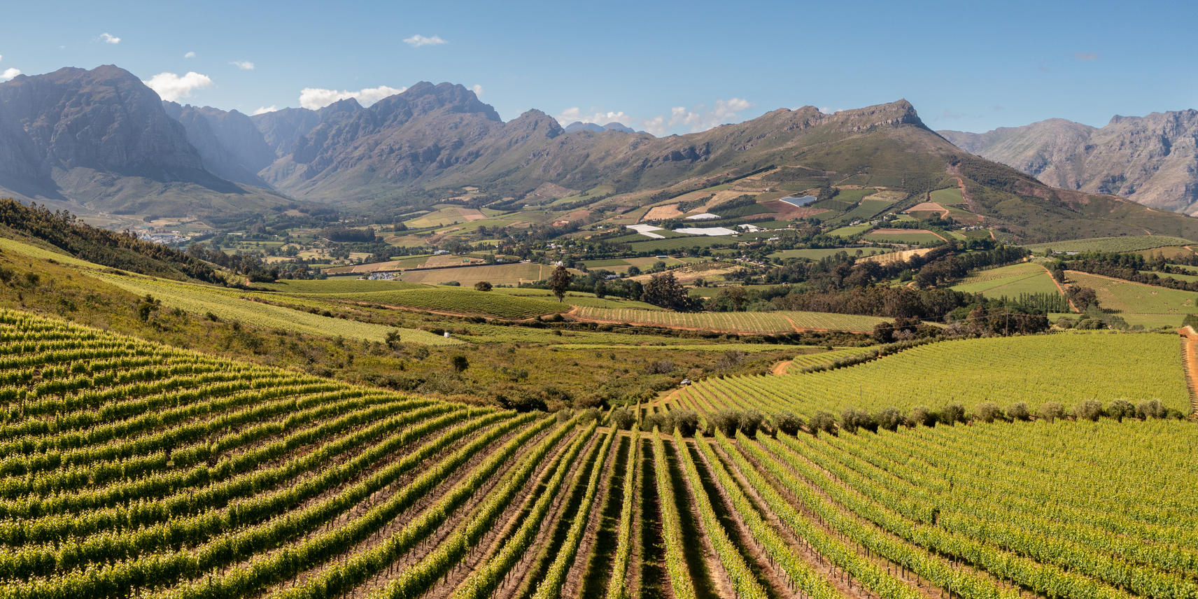 Winelands