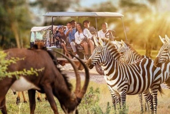 idea 223 1 600x751 1 e1762260489397