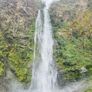 IMG_4522