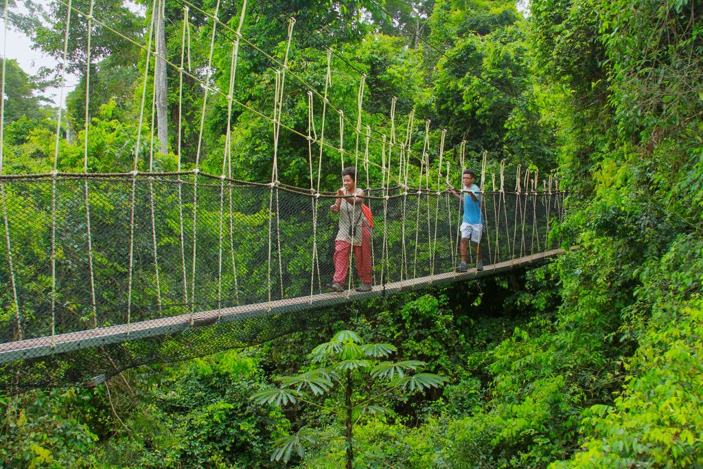 Kakum Canopy Walkway