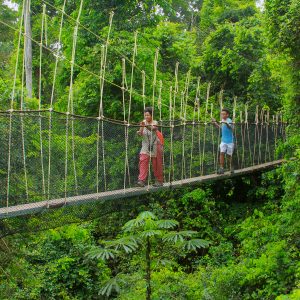 Kakum Canopy Walkway