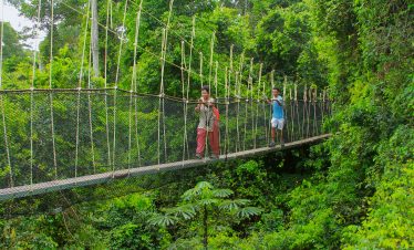 Kakum Canopy Walkway