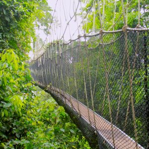 Kakum1